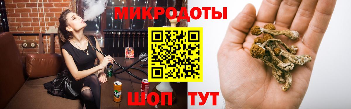 закладка  Вход с VPN  Калач-на-Дону  Галлюциногенные грибы Psilocybe  Галлюциногенные грибы MAGIC MUSHROOMS 